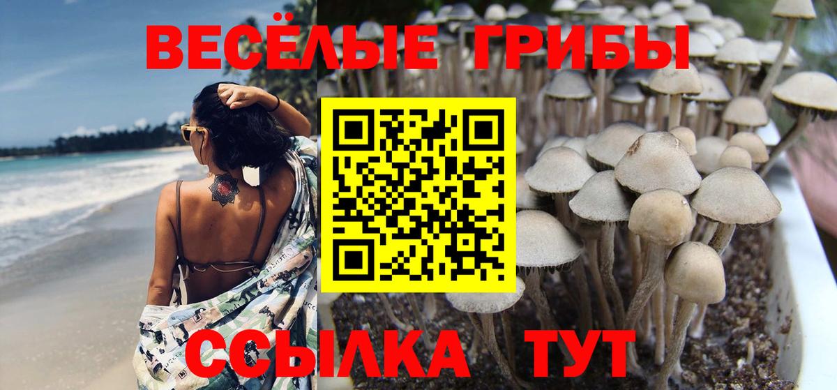 Псилоцибиновые грибы MAGIC MUSHROOMS Тула